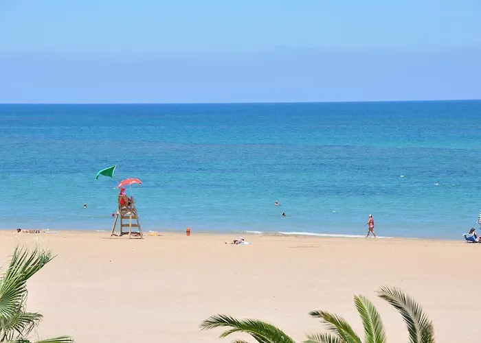 奥库洛公寓 德尼亚